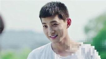 被明星称赞的男明星小说,被明星赞誉的男星小说魅力揭秘